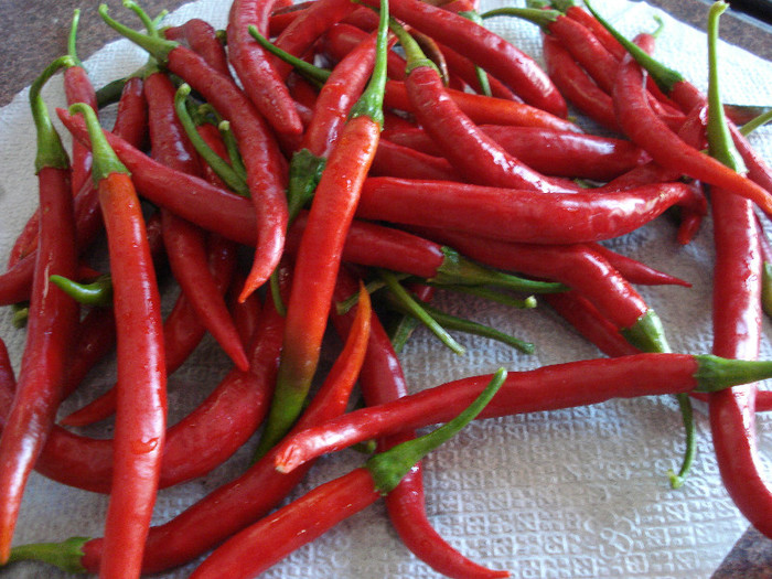 Tokyo Hot Peppers (2009, September 02)