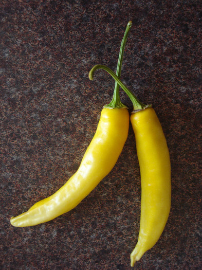 Golden Cayenne Peppers (2009, Sep.04) - Peppers Chili_Ardei Iuti