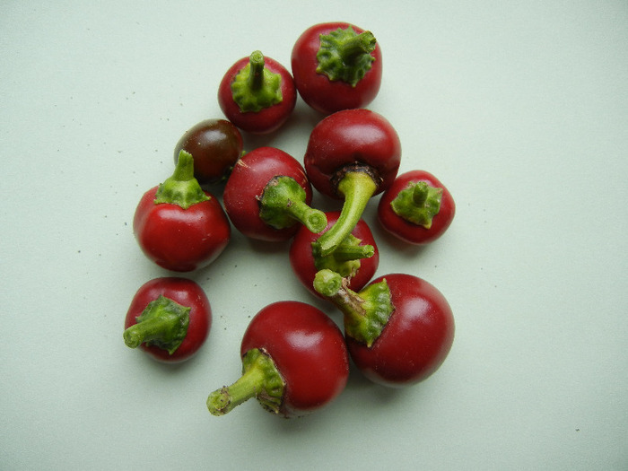 Cherry Chili Peppers (2011, Sep.09)