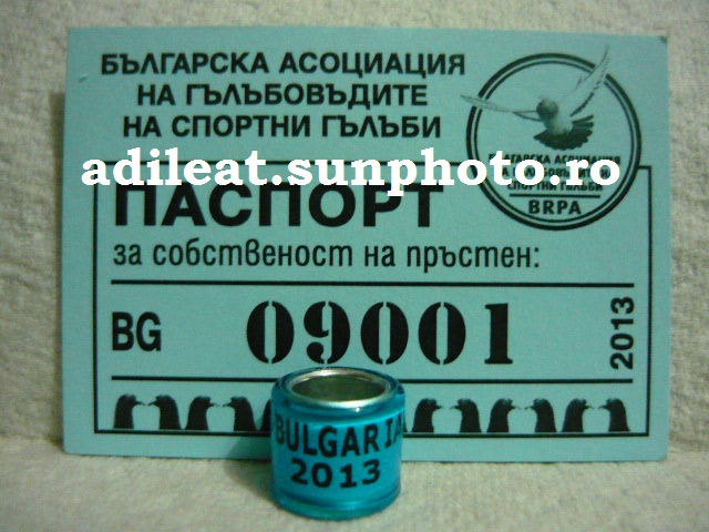 BULGARIA-2013 - BULGARIA-BG-ring collection