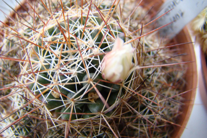 2577855970081725294PzvSJF_fs