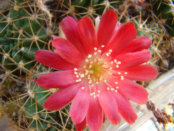 2683825910081725294MbaQUr_fs