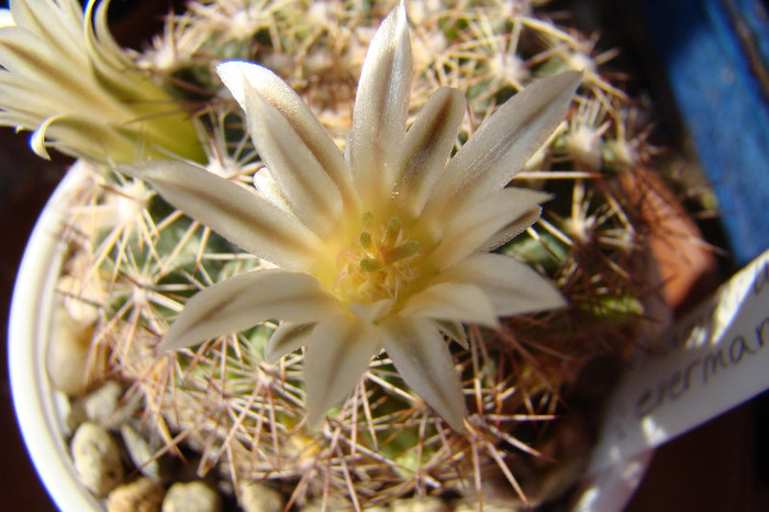 2713465810081725294qUKNjg_fs