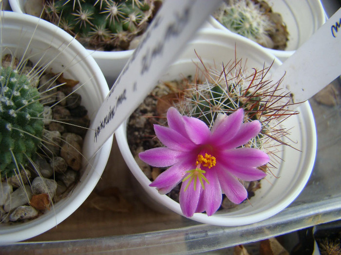 2926757200081725294UboZSI_fs