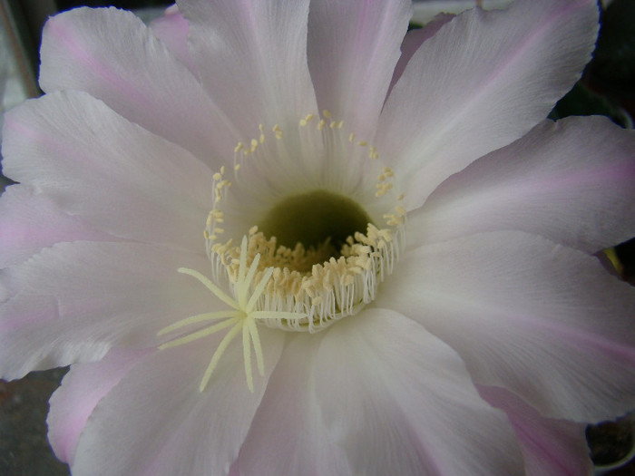 2945268510081725294bUoQgU_fs