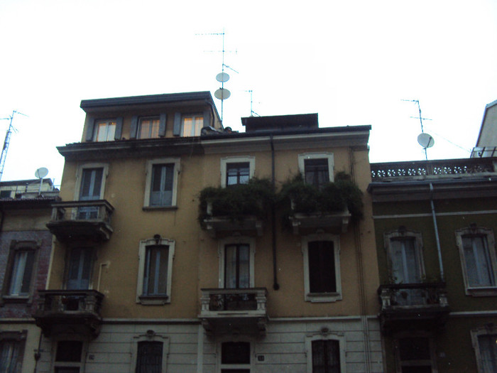 balcoane verzi in plina iarna - Milano city break