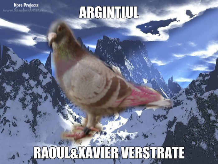 ARGINTIUL; ORIGINAL KOCSIS TEAM UNGARIA PE LINIE RAOUL&amp;XAVIER VERSTRATE
