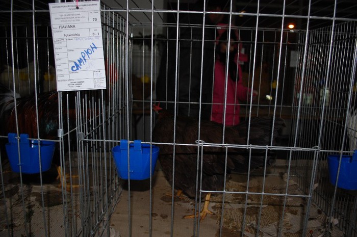 expo_acpara_2013_2_ (5)