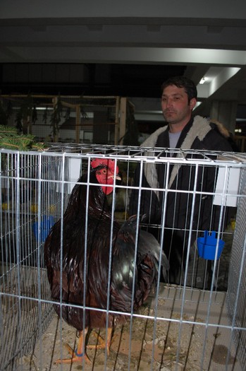 expo_acpara_2013_2_ (13)