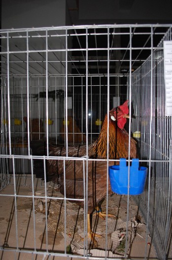 expo_acpara_2013_2_ (20)