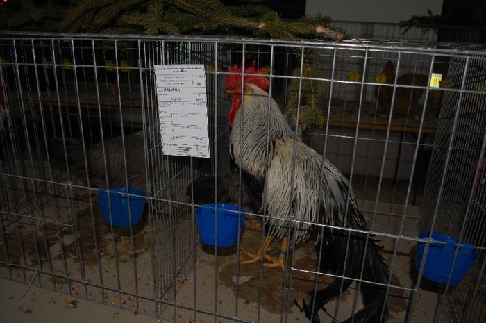 expo_acpara_2013_2_ (27)