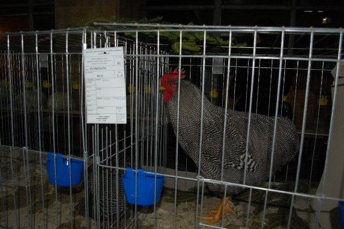 expo_acpara_2013_2_ (36)