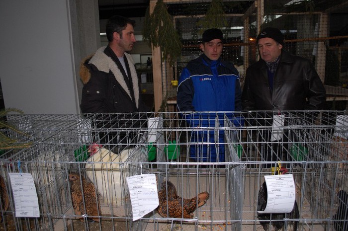 expo_acpara_2013_2_ (103) - Expo 2013 Arges Sambata