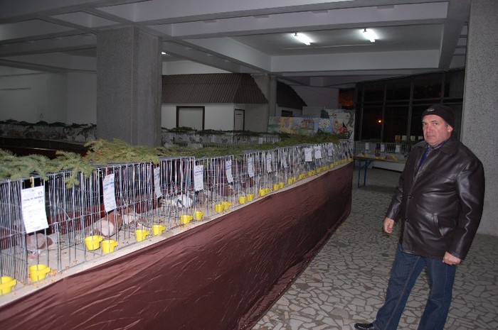 expo_acpara_2013_2_ (110) - Expo 2013 Arges Sambata