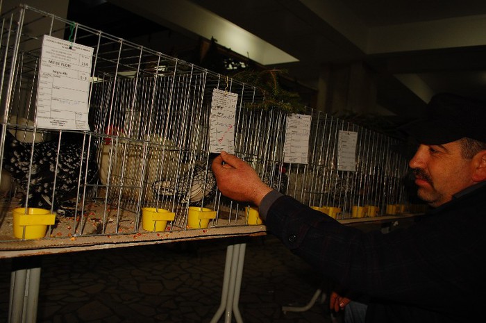 expo_acpara_2013_2_ (137) - Expo 2013 Arges Sambata