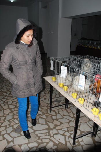 expo_acpara_2013_2_ (144) - Expo 2013 Arges Sambata