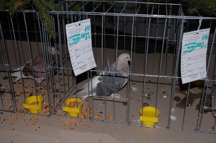 expo_acpara_2013_2_ (209)