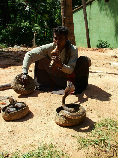 La 1 m de cobre - Sri Lanka