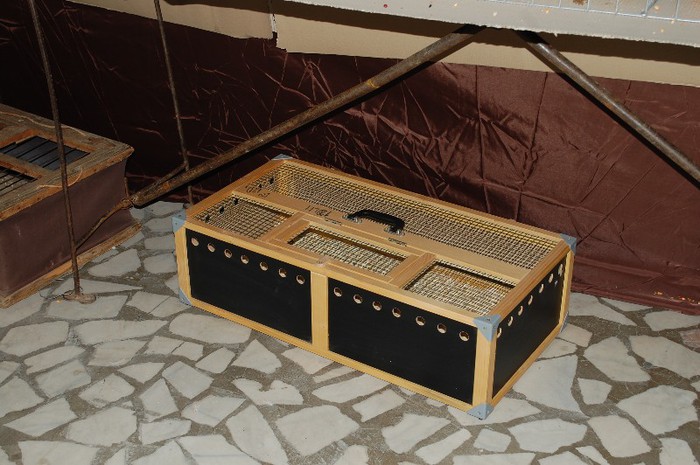 expo_acpara_2013_2_ (333) - Expo 2013 Arges Sambata