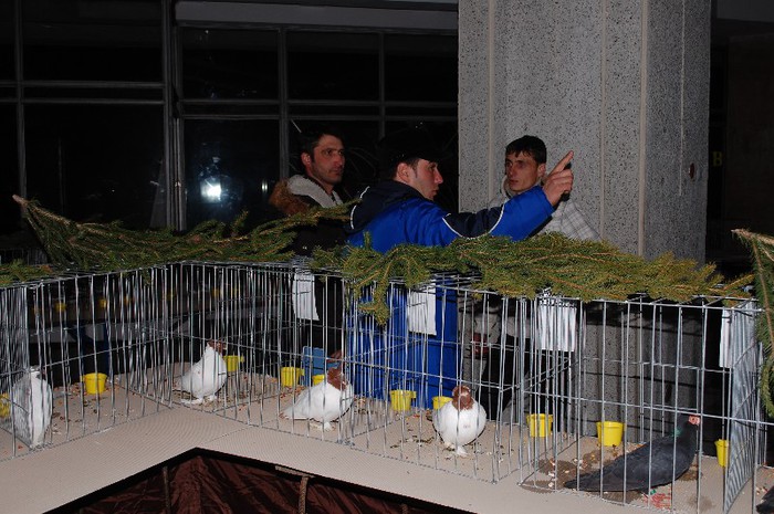 expo_acpara_2013_2_ (334) - Expo 2013 Arges Sambata