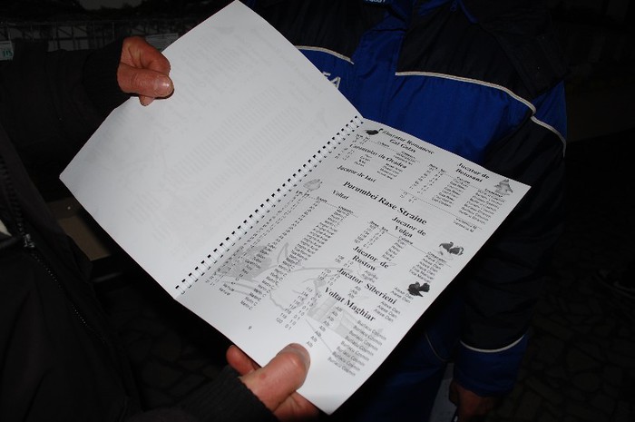 expo_acpara_2013_2_ (337) - Expo 2013 Arges Sambata