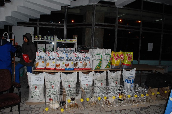 expo_acpara_2013_2_ (339) - Expo 2013 Arges Sambata