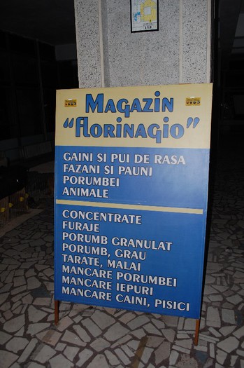 expo_acpara_2013_2_ (340) - Expo 2013 Arges Sambata