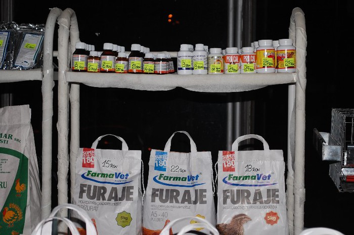 expo_acpara_2013_2_ (342) - Expo 2013 Arges Sambata