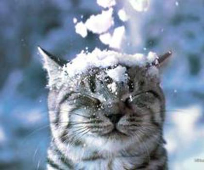 484825_541706469187395_997065582_n_thumb