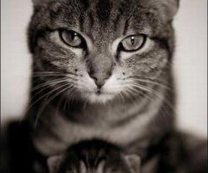 543786_541706189187423_1504392232_n_thumb