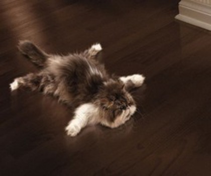 0_4afed_5f558e41_XL_thumb