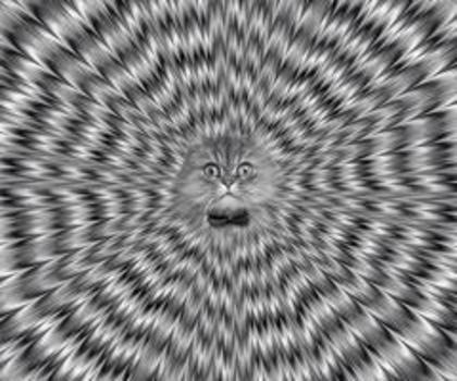 265181_10151396983504393_645842317_n_thumb