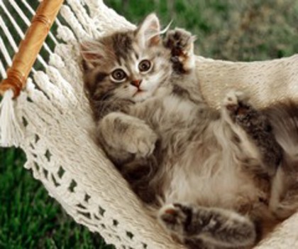 0_4afd0_bc5024_XL_thumb