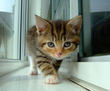 76772368617974218_ORus7EM1_c_thumb