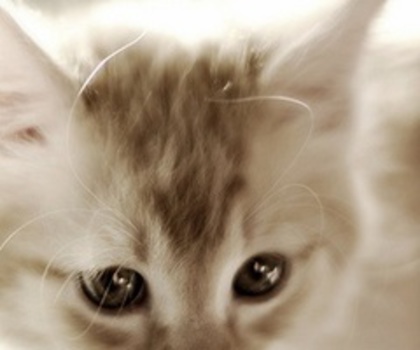 228276274833971950_qmBE6whE_c_thumb