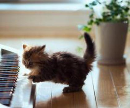 196365_147214112101903_708875040_n_thumb