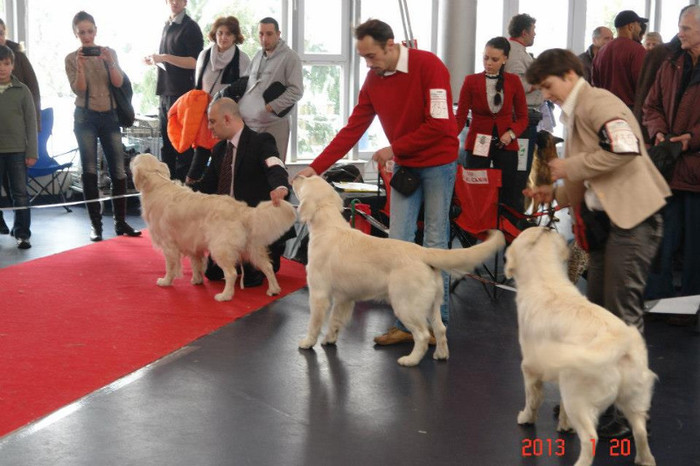 Expo Tim; Oskar mascul Golden
