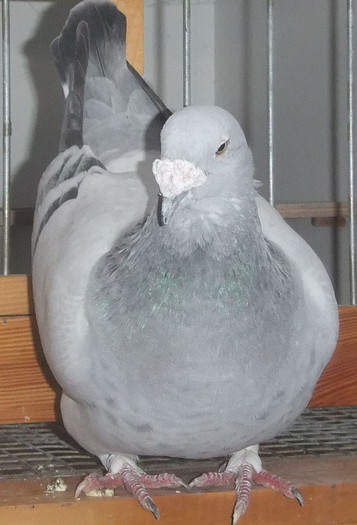 DSCF5199