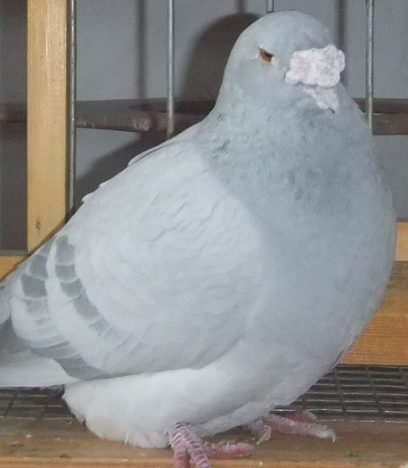 DSCF5319