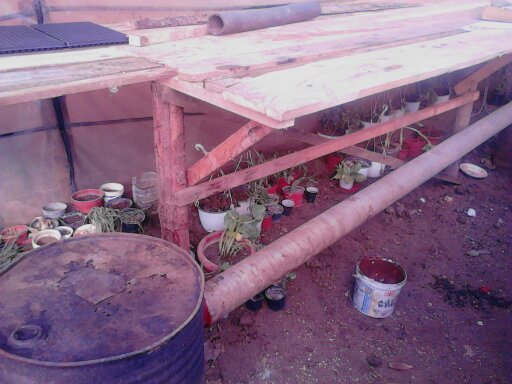 si dai si incepe sa cari ghivecele cu flori...