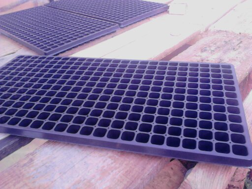 alveola de 388 orificii