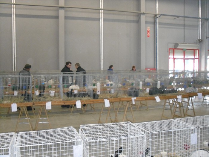 SDC11526 - EXPOZITIA NATIONALA  KIELCE POLONIA 2013