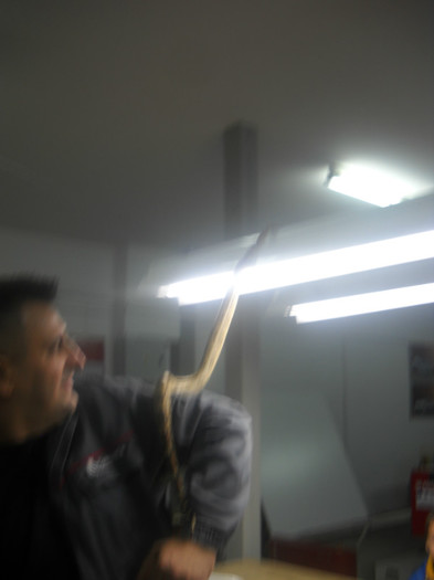 DSCN3377 - LOCUL MEU DE MUNCA