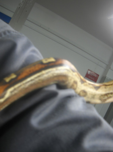 DSCN3378 - LOCUL MEU DE MUNCA