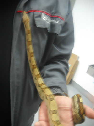 DSCN3387 - LOCUL MEU DE MUNCA