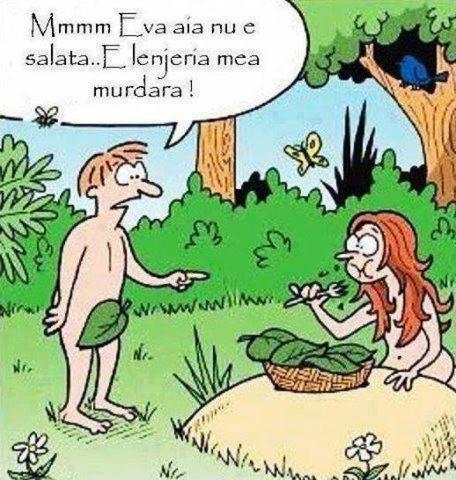 321096_452934554767796_114023185_n