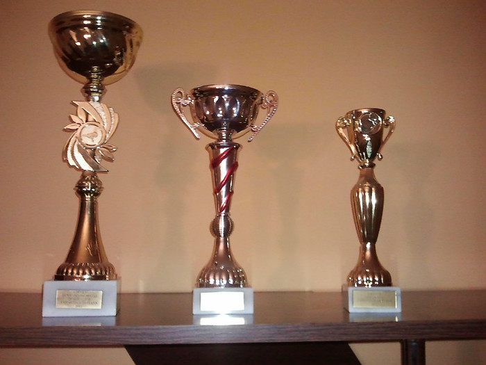 Trofeele castigate pe Judet - Trofee castigate pe Judetul Prahova 2012