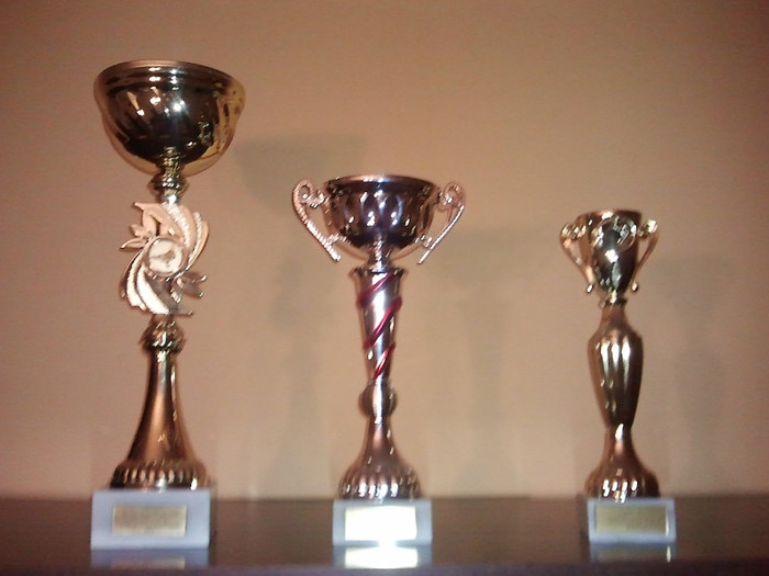 Trofee castigate Judet - Trofee castigate pe Judetul Prahova 2012