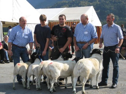 interlaken-campioni -Elvetia