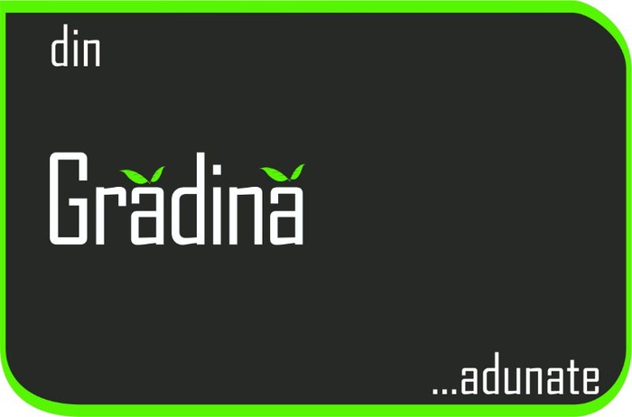 gredina belintana2_FB